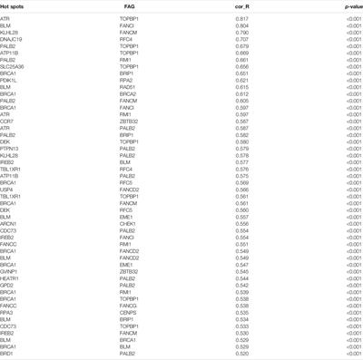 Fanconi Anemia Pathway Genes Advance Cervical Cancer via Immune Regulation and Cell Adhesion